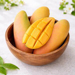 [품질보장] 마하차녹 망고 8-12과 4kg내외