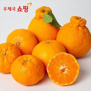 [우체국쇼핑] 제주 한라봉/카라향 선물세트 2.5kg, 4.5kg