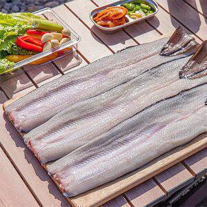 심명진 민물장어 1kg 국산 자포니카 손질(손질 후 700g)