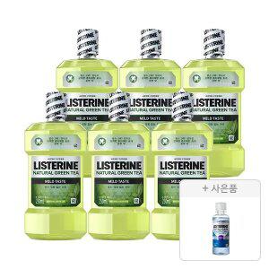 리스테린 그린티 마일드, 250ml, 6개 + 증정(캐비티케어 마일드 100ml,1개)