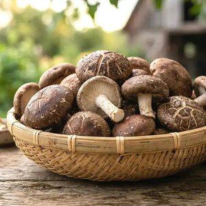 표고버섯 1kg (상)