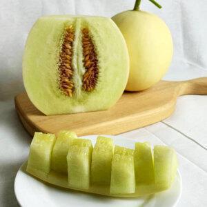 달콤하고 부드러운 홈런스타 멜론 5kg(2-5수)