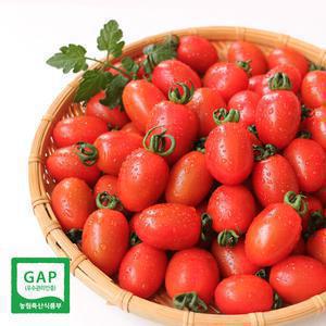 [충주씨샵]충주농협 LMS 로얄과 대추방울토마토 2kg