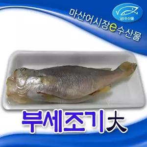 e수산물 반건조 부세조기 큰크기구이용1마리 부서 손질한부세조기 제수생선 마산어시장 생선 특대32cm