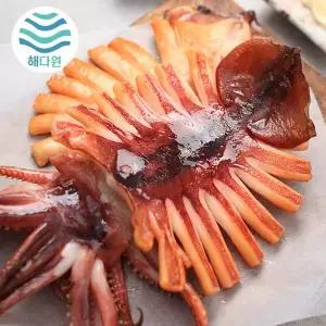 [해다원]국내가공]해를품은 반건조오징어 왕특대 10미(1.9~2.2kg)