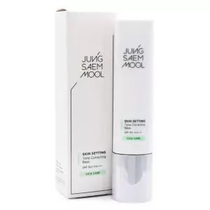 정샘물 스킨 세팅 톤 코렉팅 베이스 40ml