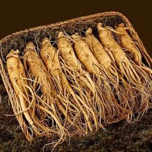 [자연맛남]농협선별 금산 인삼(삼계) 300g