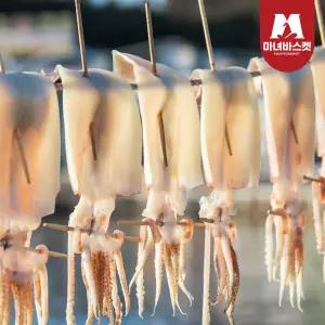 촉촉한 반건조 오징어(특대) 5미 850g 내외
