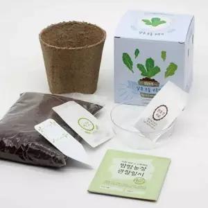 상추 모종키우기 원예키트 씨앗키트 씨앗화분