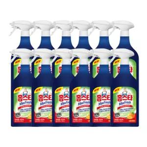 홈스타 맥스프레쉬 주방용세정제 900ml 12개