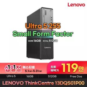ThinkCentre neo 50s Gen6 13DQS01P00 119만 인텔 Ultra 5 255 16GB 512GB 레노버미니PC 데스크탑