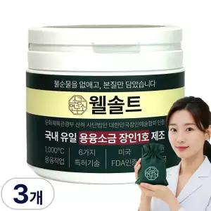 웰솔트 용융소금 소금물 융용 융융 미네랄 소금차 500g, 3개 