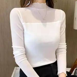  여성목티 여자 긴팔 시스루 반목티 얇은 목폴라 티셔츠 메쉬 슬림핏 봄 가을