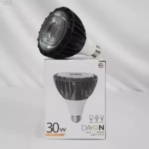 [Deco] DNN LED PAR30 30W FS-PSP30W-30K
