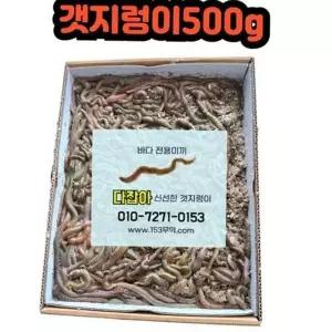 원투 찌낚시 낚시 갯지렁이 미끼용 생물 청개비 미끼 생물낚시미끼