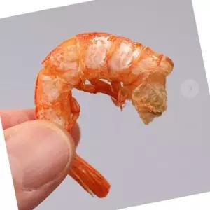 VB 건새우 두절 새우 200g 5개 건새우볶음