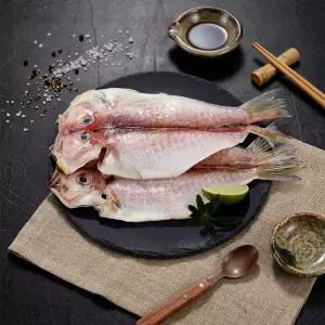 [롯데백화점]친환경팔도 제주 옥돔 대 4마리