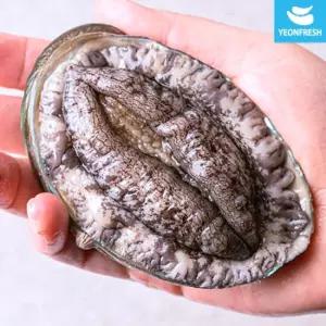 완도활전복 1kg 7-8미(미당125g내외) [산소팩, 무료배송]