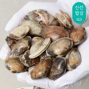 당일작업 남해안 활 바지락 1kg