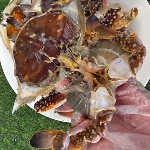 국내산 서해안 선동 암꽃게 5kg 25-30미내외 냉동꽃게 알배기50% 암게