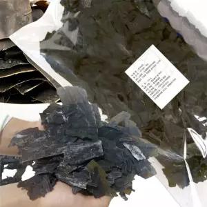 TBZ 파지 건다시마 500g