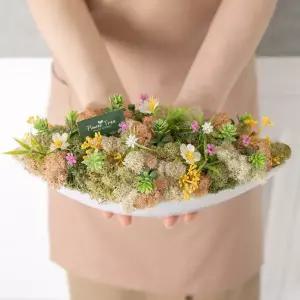 아트박스/플라워트리 스칸디아모스 공기정화 센터피스 물망초 수반 26cm