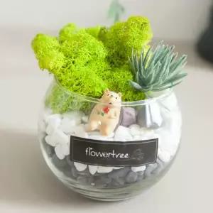 아트박스/플라워트리 스칸디아모스 공기정화 화병 자갈글라스 set 11cm DIY