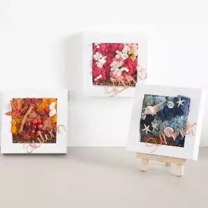 아트박스/플라워트리 스칸디아모스 공기정화식물 액자 무드 set 20cm 3컬러