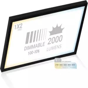 NUWATT 1x2 FT LED 표면 마운트 패널 5CCT 2700K/3000K/3500K/4000K/5000K 선택 가능 2000LM 22W 내부