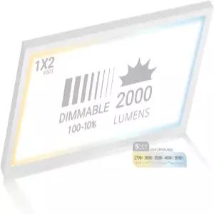 NUWATT 1x2 FT LED 플랫 패널 5CCT 2700K/3000K/3500K/4000K/5000K 선택 가능 2000LM 22W 내부 드라이버