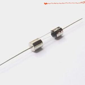 100PCS T2AL 250V 520MM 이중 유리 캡(슬로우 오프 지연 인증 퓨즈 포함)