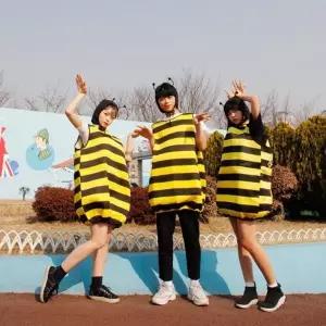 TBZ 교복몰 꿀벌 코스프레 반티 할로윈코스튬 할로윈의상