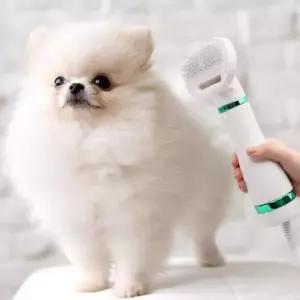드라이기 목욕 드라이어 빗는 펫 반려동물 헤어 용품
