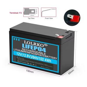 12V 8Ah/15Ah LiFePO4 배터리 내장형 BMS 3000+ 사이클 수명 태양광/UPS/어군탐지기/RV/발전기/보트/야외용