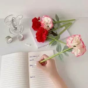 [큰손할인] 카네이션볼펜 조화 스승의날 어버이날 가정의달 선생님 부모님 선물 꽃 유치원 어린이집 감사