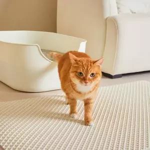 3651 고양이 모래 매트 화장실 사막화 방지 이지클린 M 이지클린 매트 M MNA