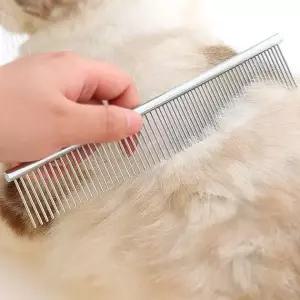 강아지 고양이 콤빗 눈곱빗 중형 눈물자국 털정리 케어용품