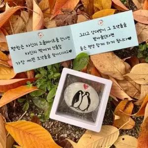 WL 펭귄 조약돌 커플 편지 기념일 생일 선물 편지지 깜짝 남자친구 여자친구 100일