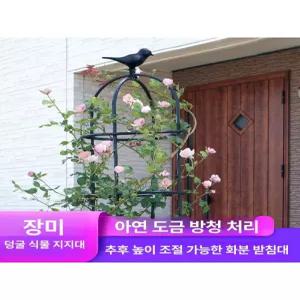 오벨리스크 식물 넝쿨 철제 정원 장미 지주대 화단 가든 장미아치 프레임 덩굴 울타리