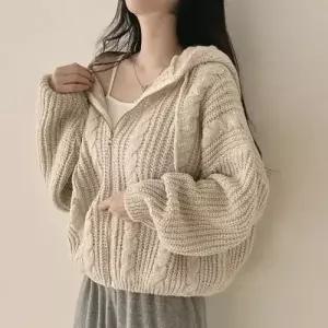 니트 빈티지 가을 긴팔 후드집업 카디건 꽈배기 여자후드가디건 ible3