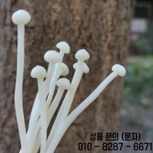 부드러운 미니어처 에노키 버섯 요정 정원 테라리움 목가적인 장식 크리스마스 스티커 공예 용품 20 개