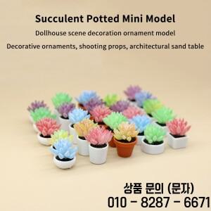 새로운 5종 시뮬레이션 다육 식물 화분 모형 인형집 미니어처 정원 데스크탑