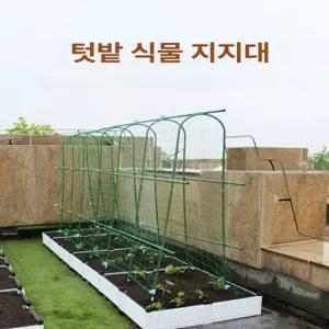 애플수박 지지대 호박 오이 참외 넝쿨식물 포도나무 온실 고추 토마토