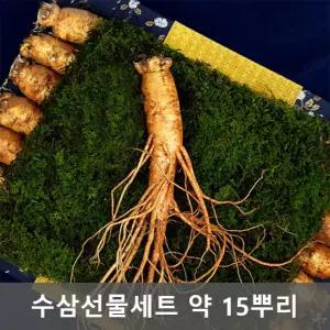 금산인삼 수삼 선물세트 금색보자기포함 약 15뿌리