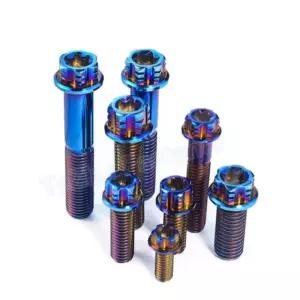 브레이크 M6 M10 티타늄 M6x10mm M6x10mm 블리더 Catdogber티타늄 육각 볼트 순수 세트 M6x10mm