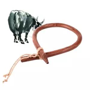 국산소코뚜레 중형 개업선물 이사선물 집들이 사무실 소코뚜레 코뚜레 소코뚜레걸기 쇠코뚜레