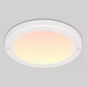 국산LED조명 엣지 원형 직부등 8인치 20W 전구색 공장등 창고등 간판조명 야외조명 현관 욕실 복도