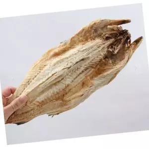 VB 통마리 먹태 10마리 7통 45-49cm 먹태구이