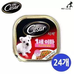 1박스 1세이하 퍼피 달걀 쇠고기와 24개 시저 강아지 통조림