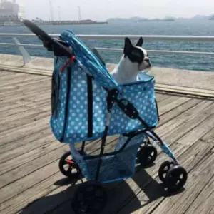강아지 고양이 4륜 개모차 유모차